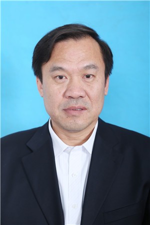 ������Ƭ