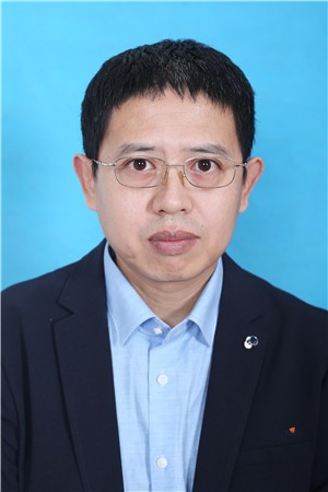 ������Ƭ