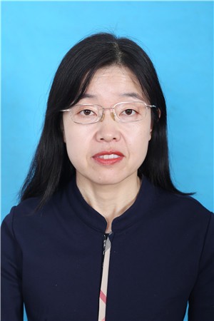 ������Ƭ