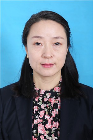 ������Ƭ