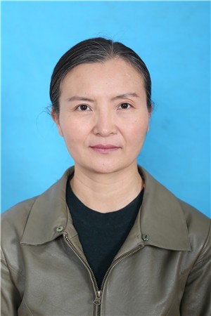 ������Ƭ