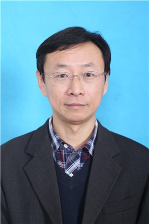 ������Ƭ