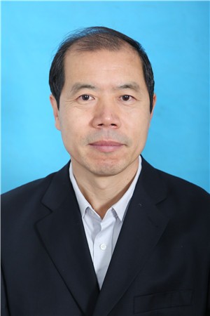 ������Ƭ